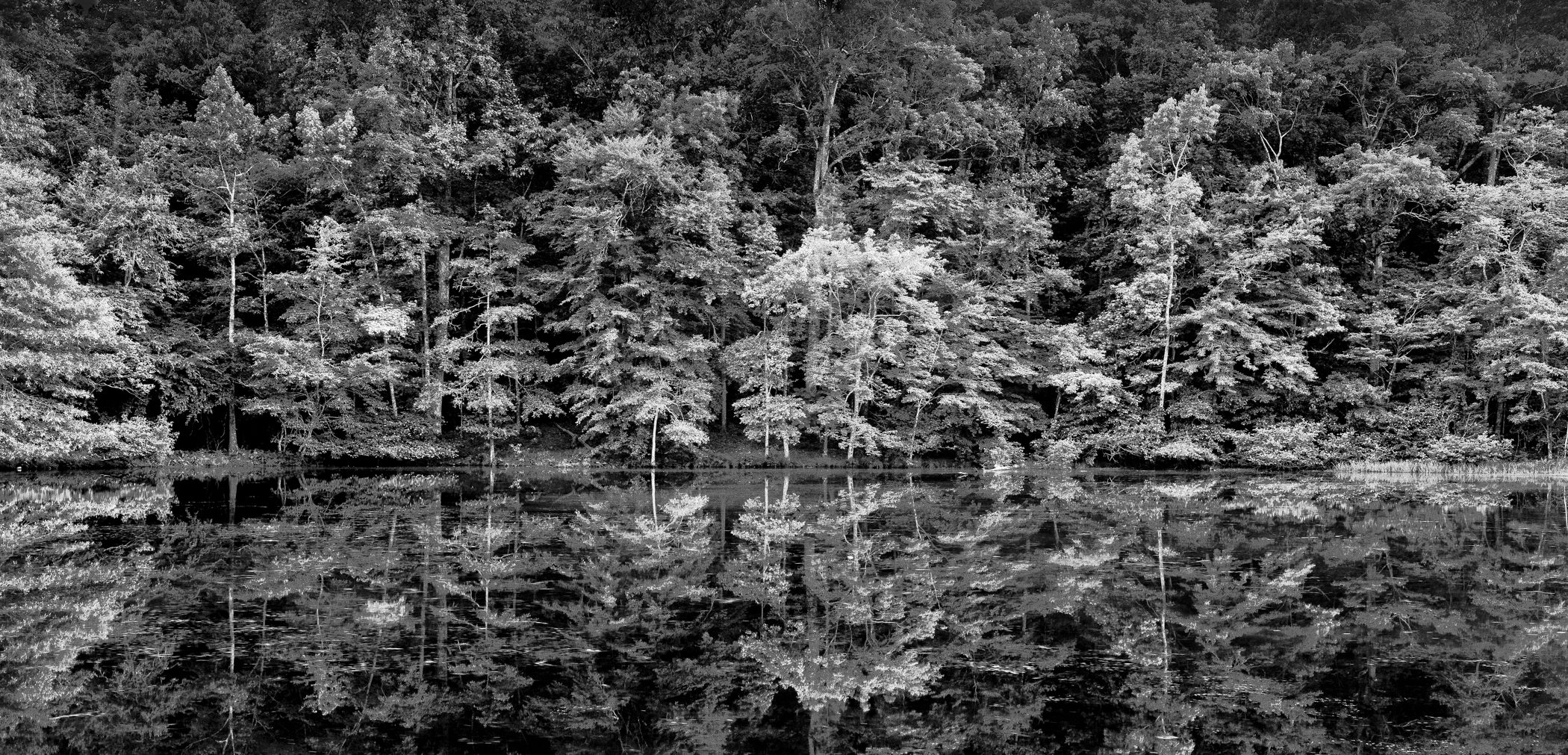 Catfish Lake Reflection 