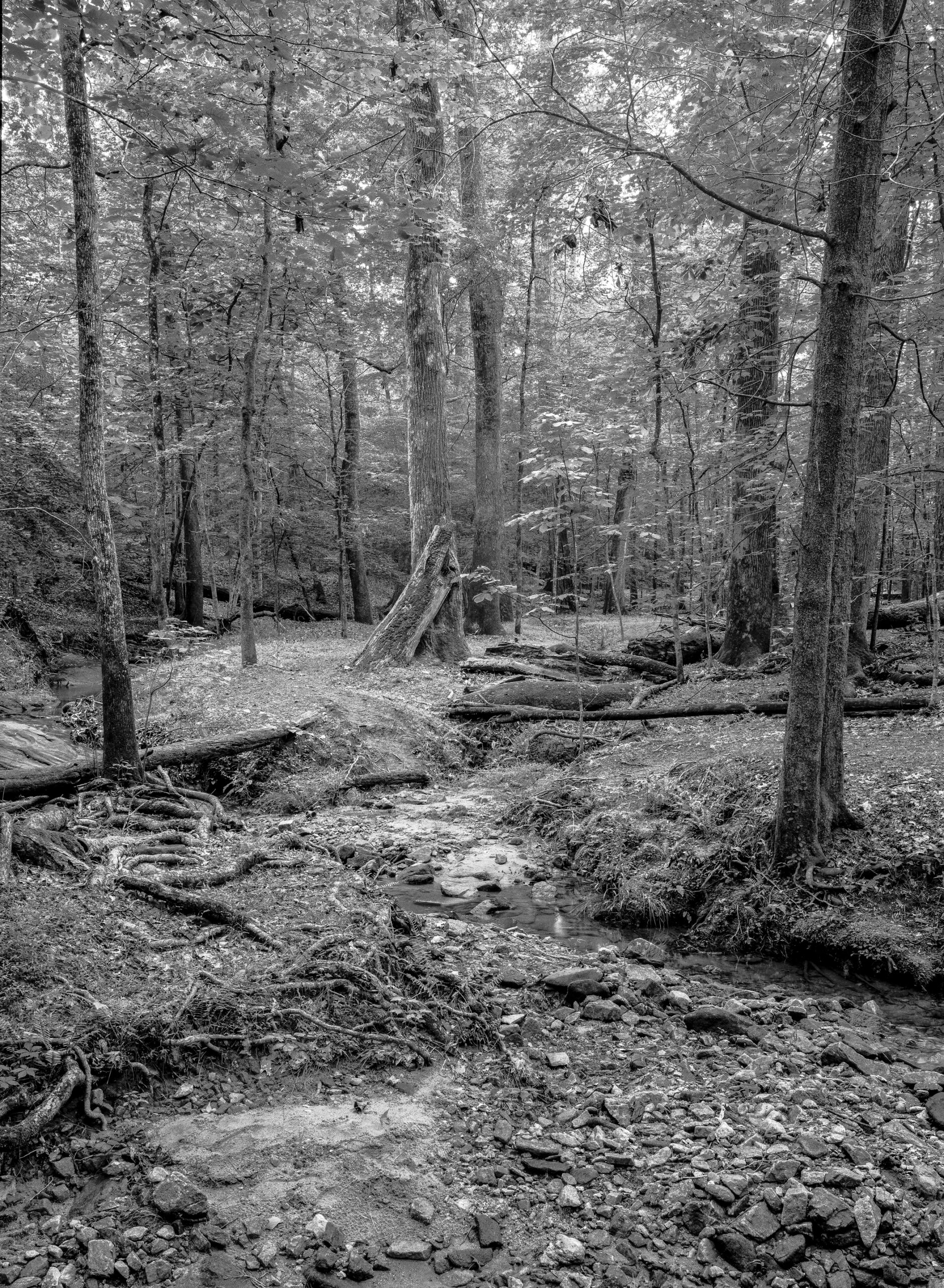 Cherokee Trail 2