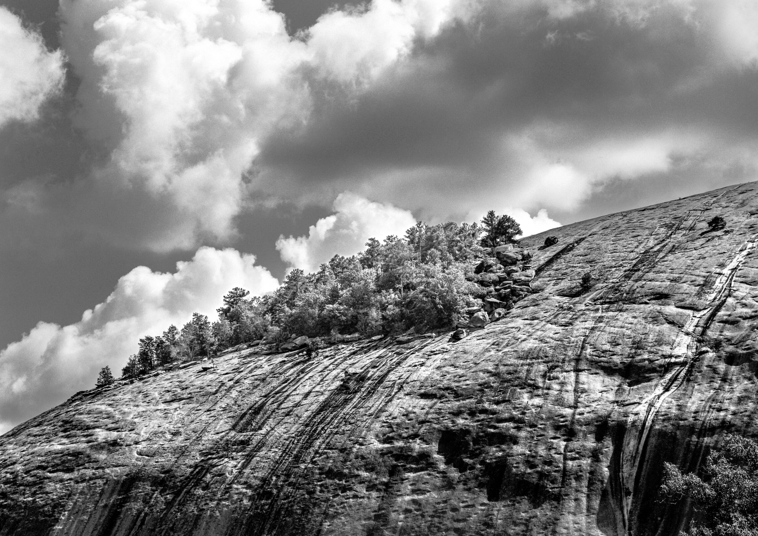 Mountain Oasis