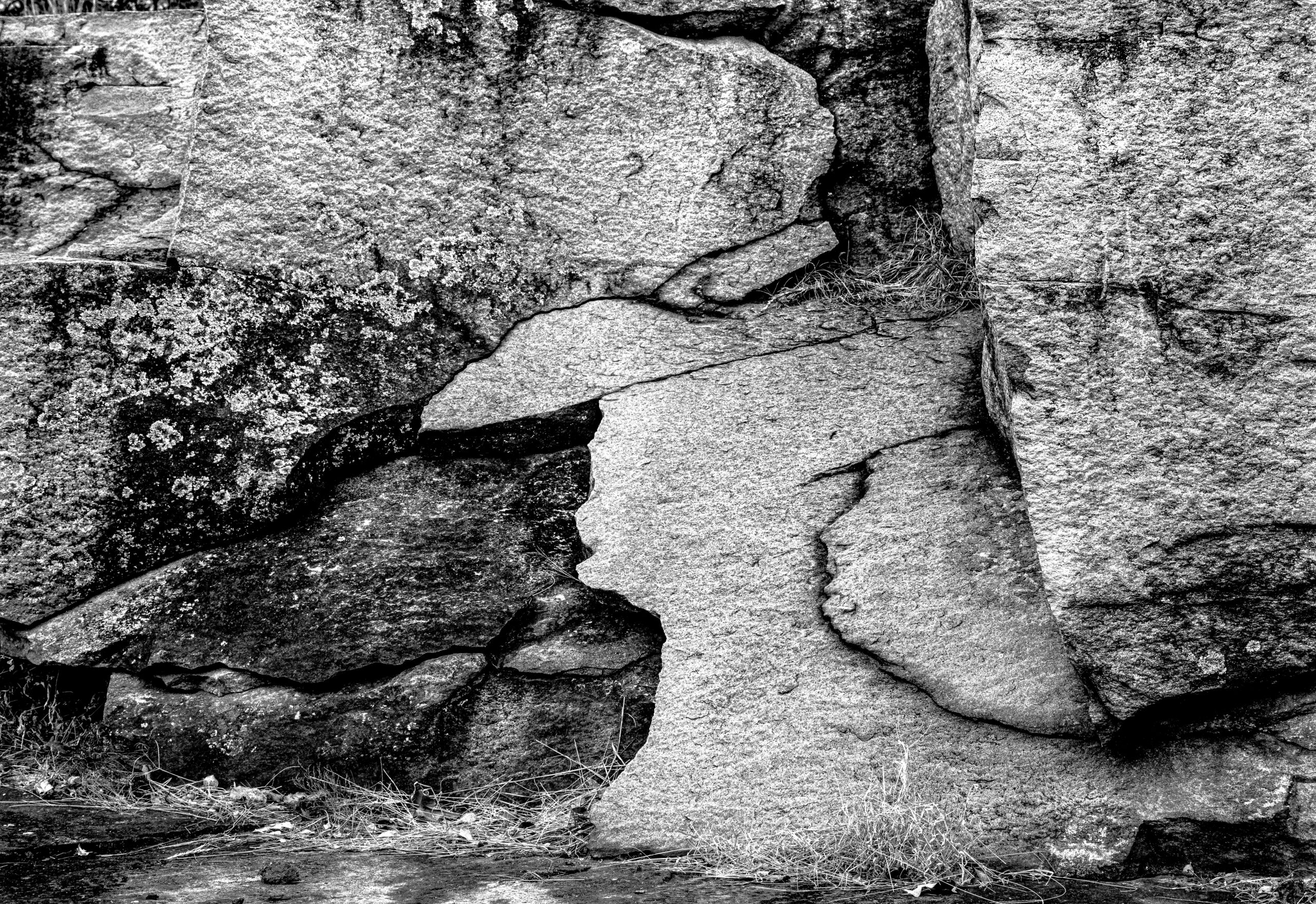 Cross Section