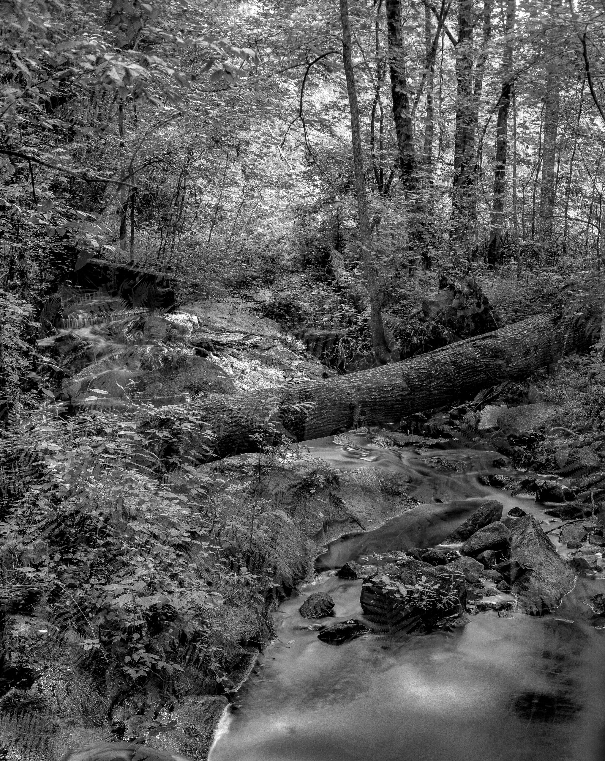 Cherokee Trail 