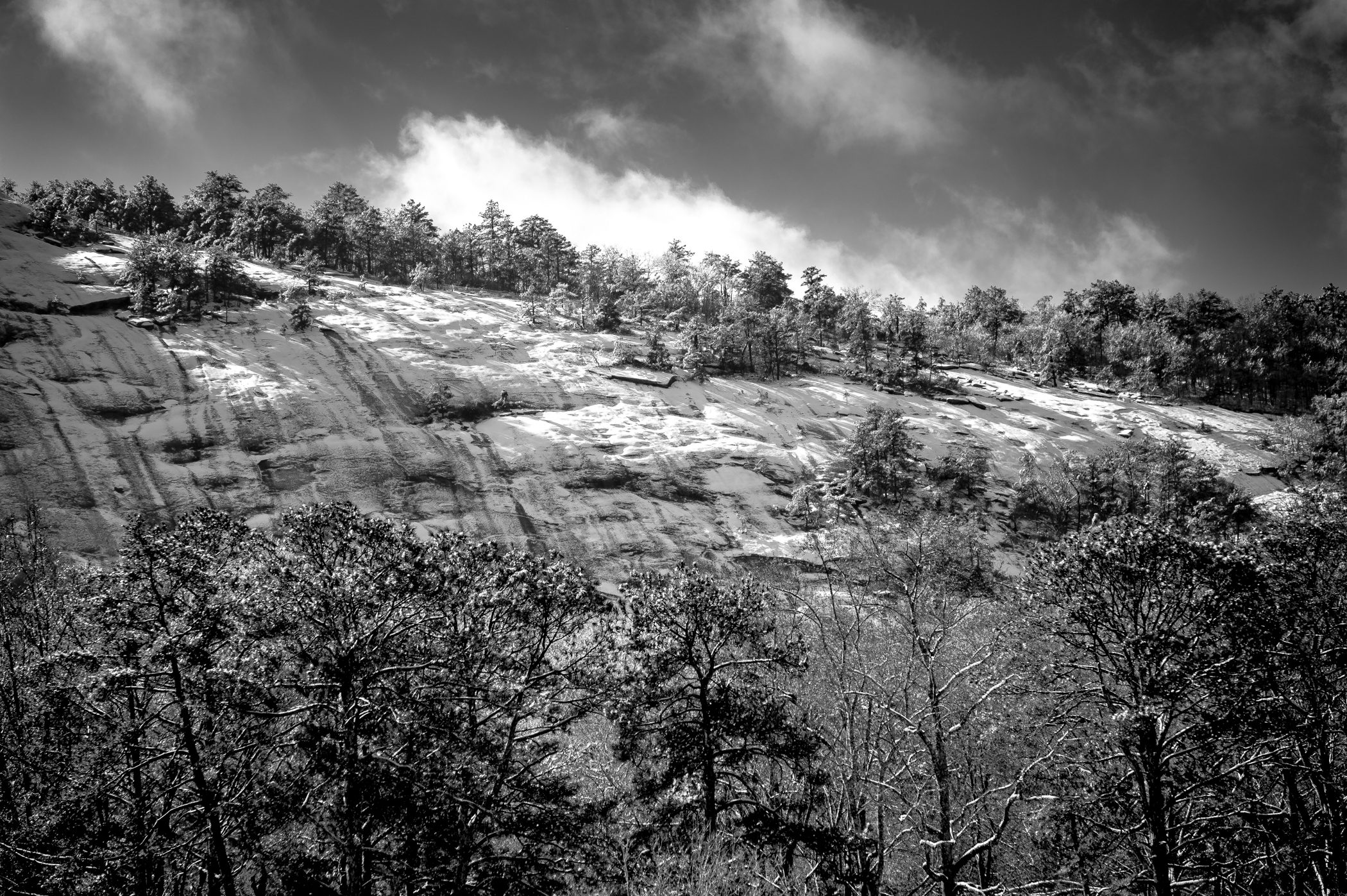 Snow Ridge 