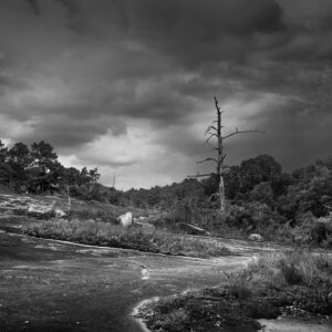 Trail of Tears