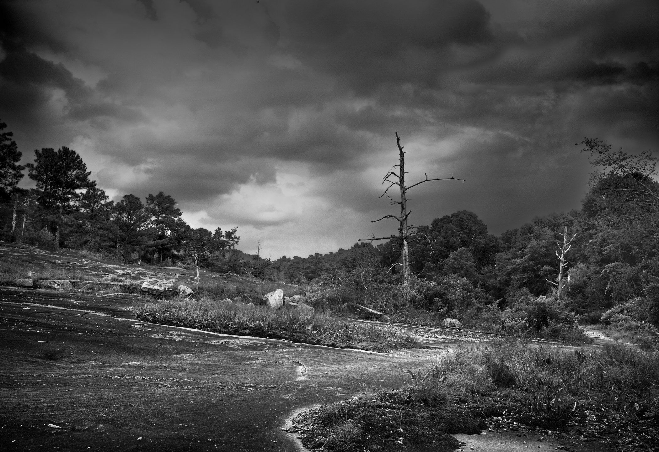 Trail of Tears 