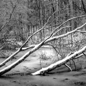 Frozen Pond