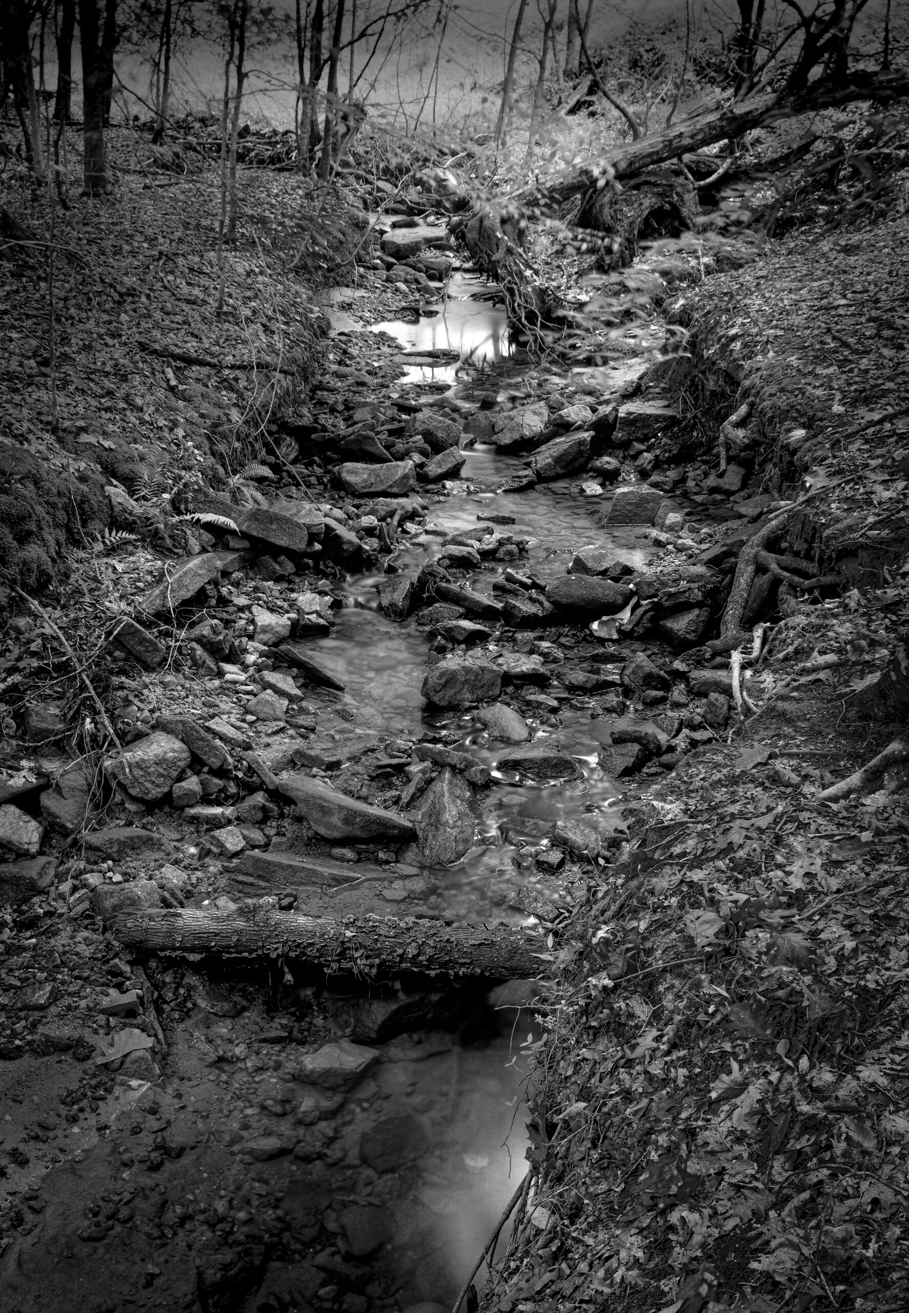 Mountain Stream