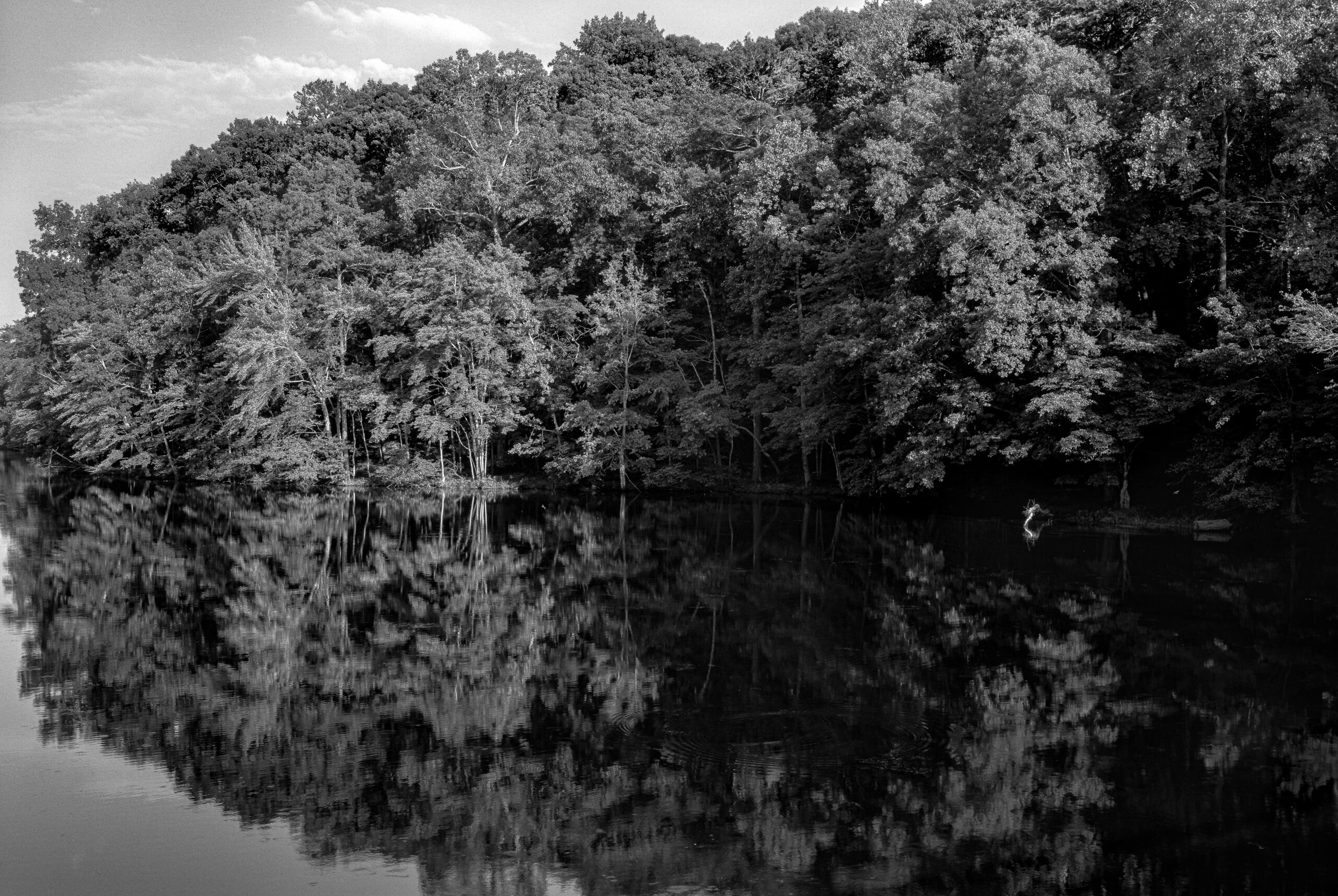 Catfish Lake Reflection #2