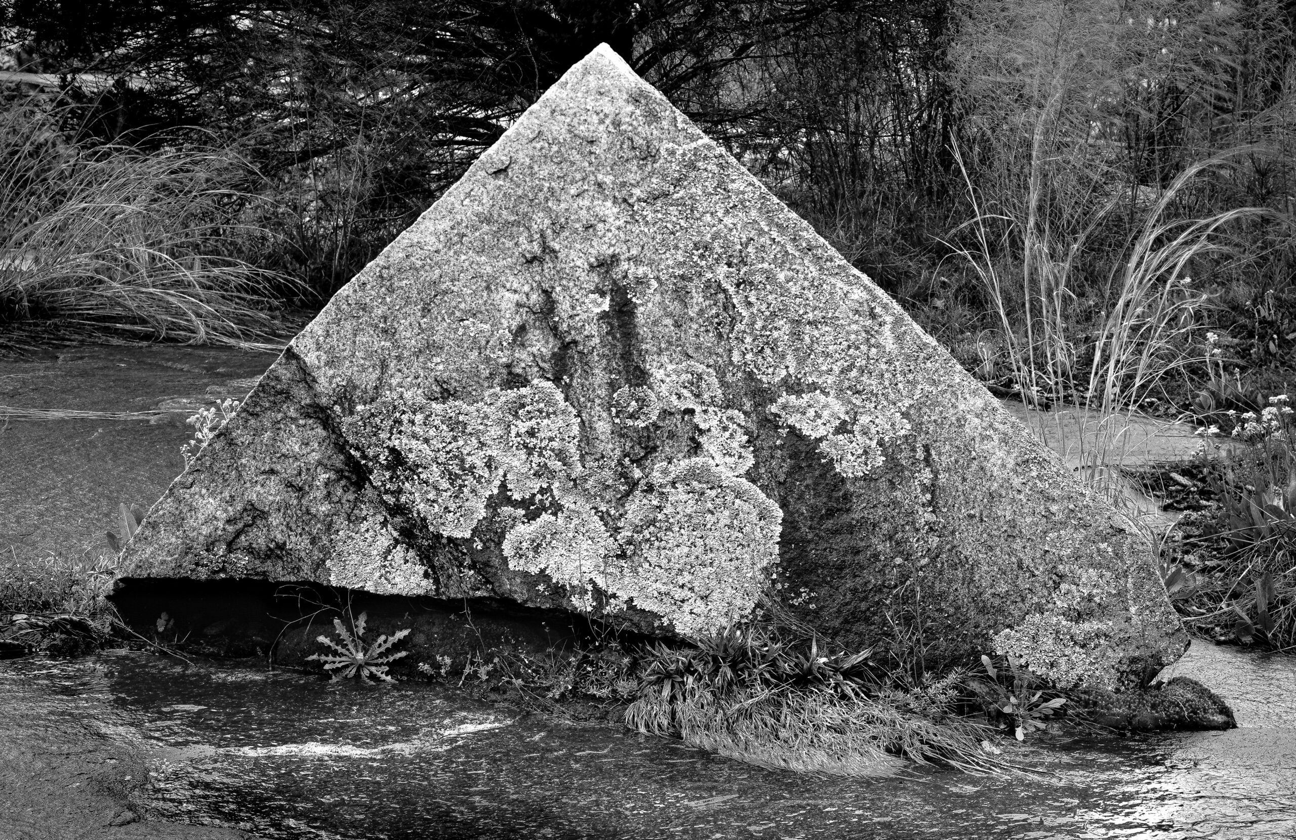 SM Untitled #8