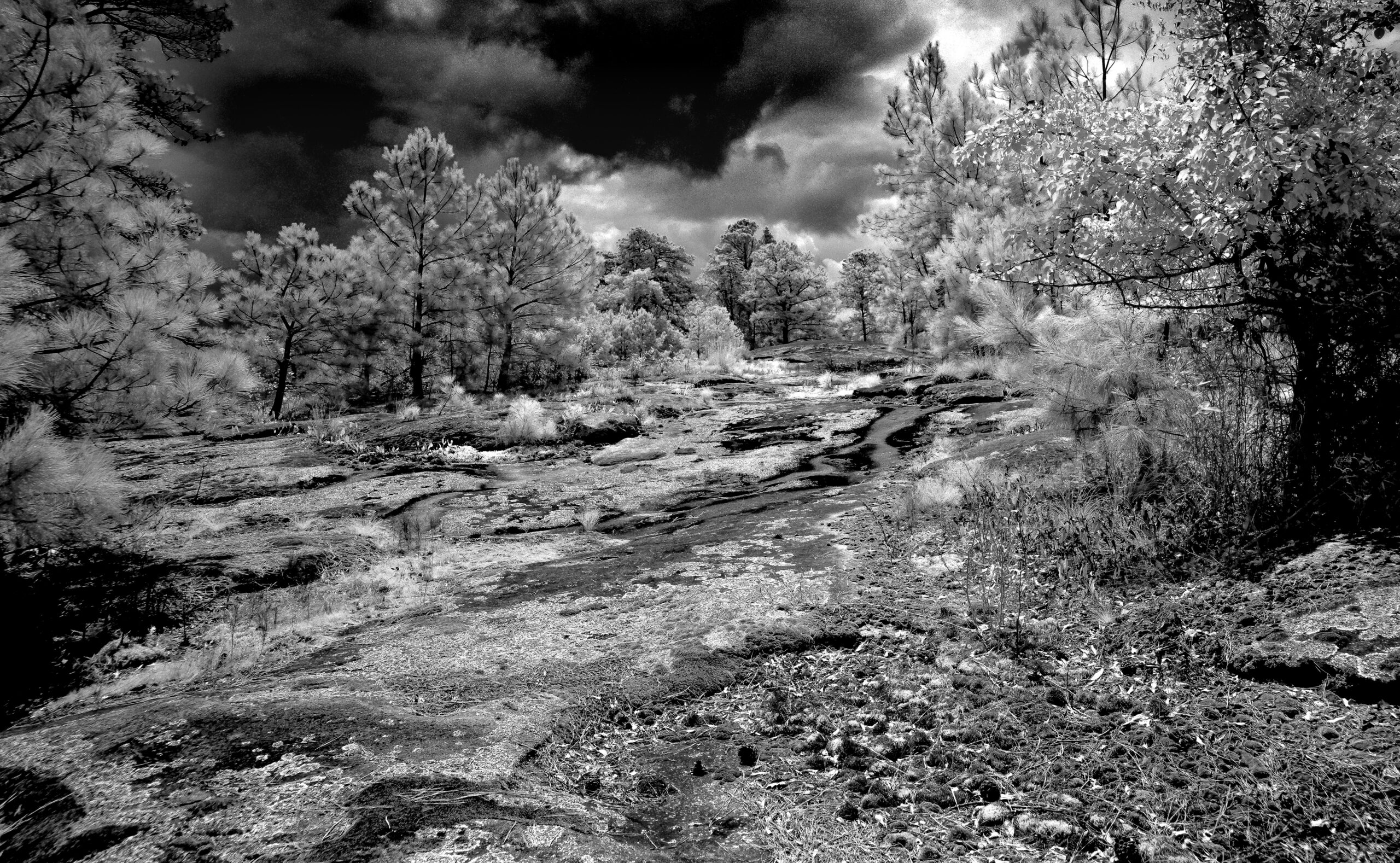 Granite Outcrop 